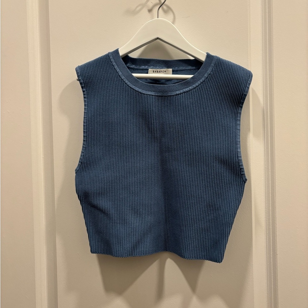 Aritzia Blue Sleeveless Crop Top